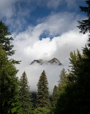 Low Clouds at Glacier National Park