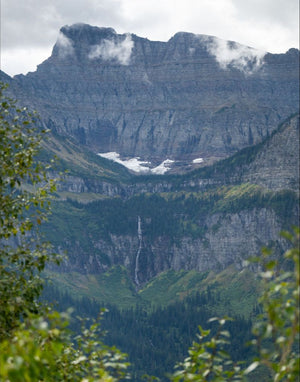 Glacier National Park #6