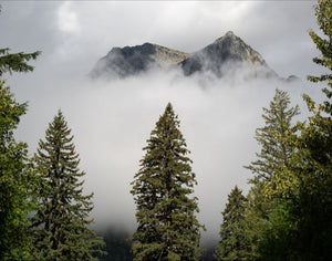 Low Clouds at Glacier National Park (Landscape)