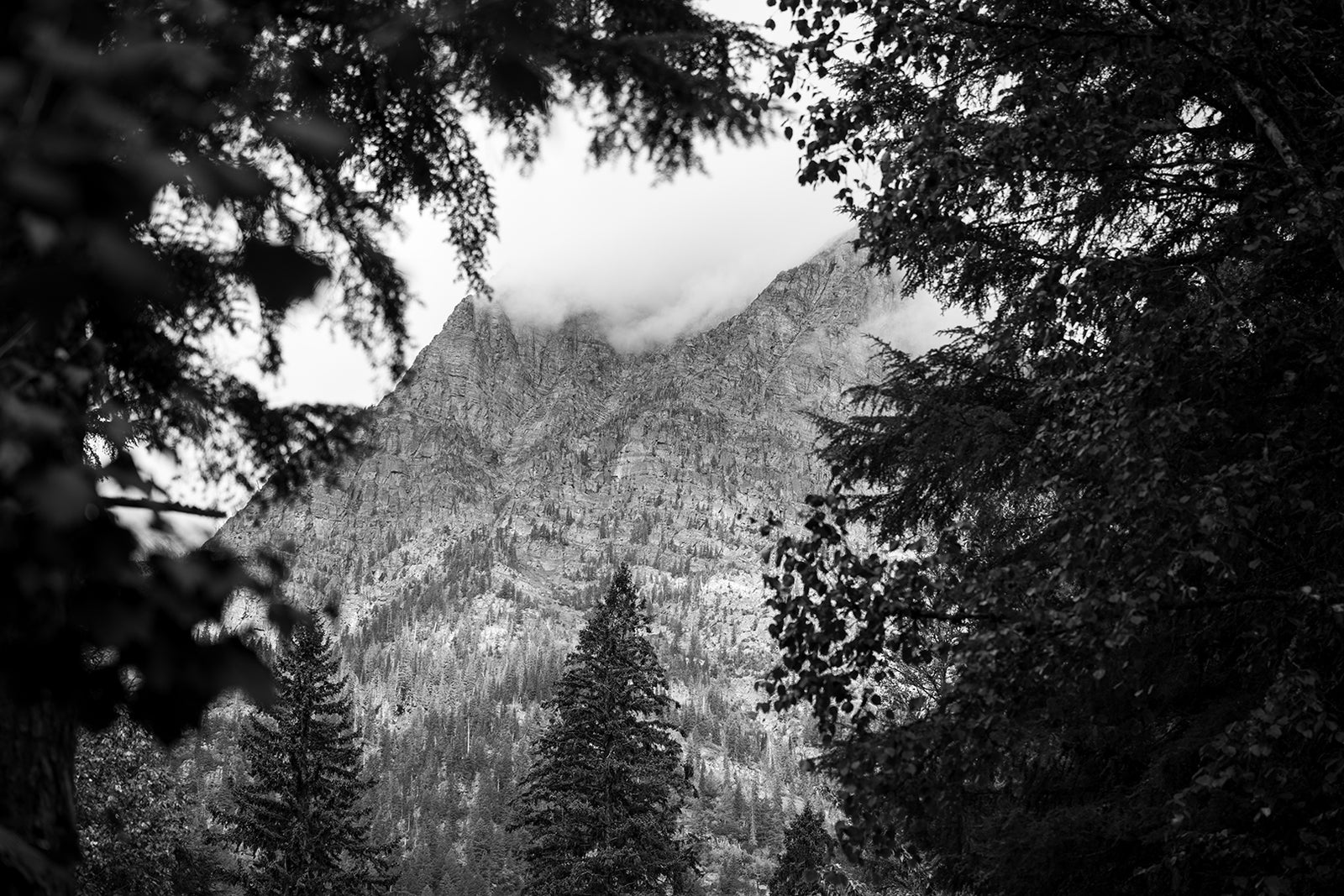 Glacier National Park #5