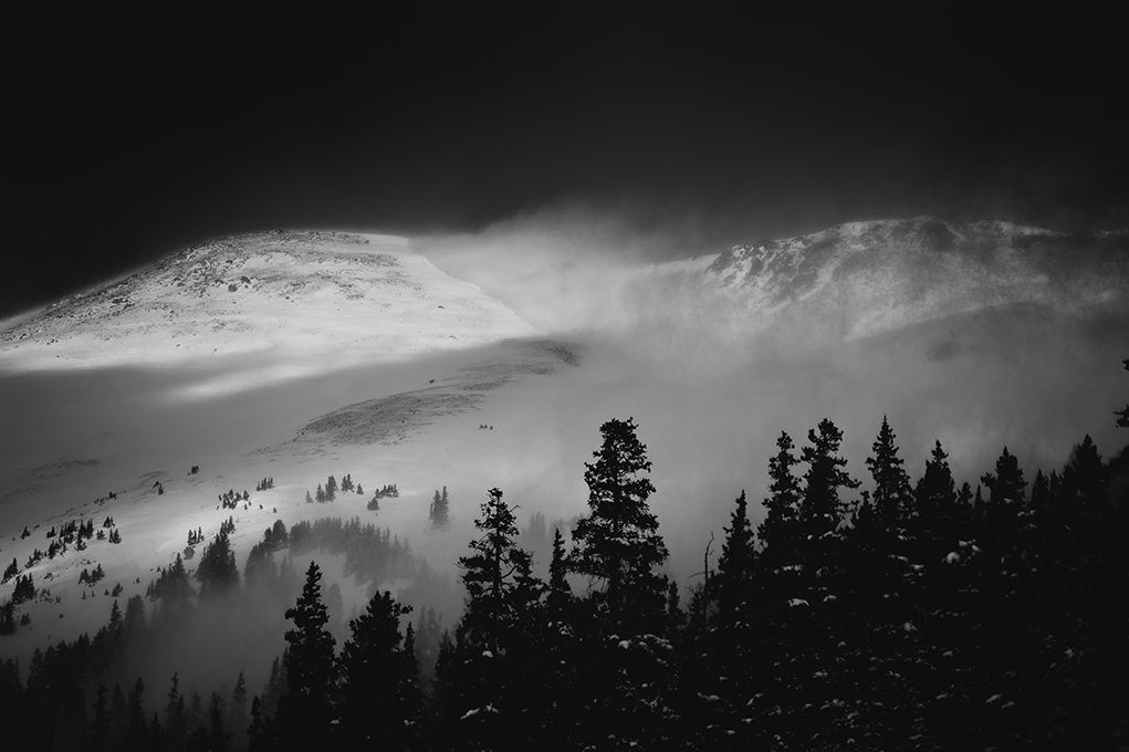 And So The Wind Takes You