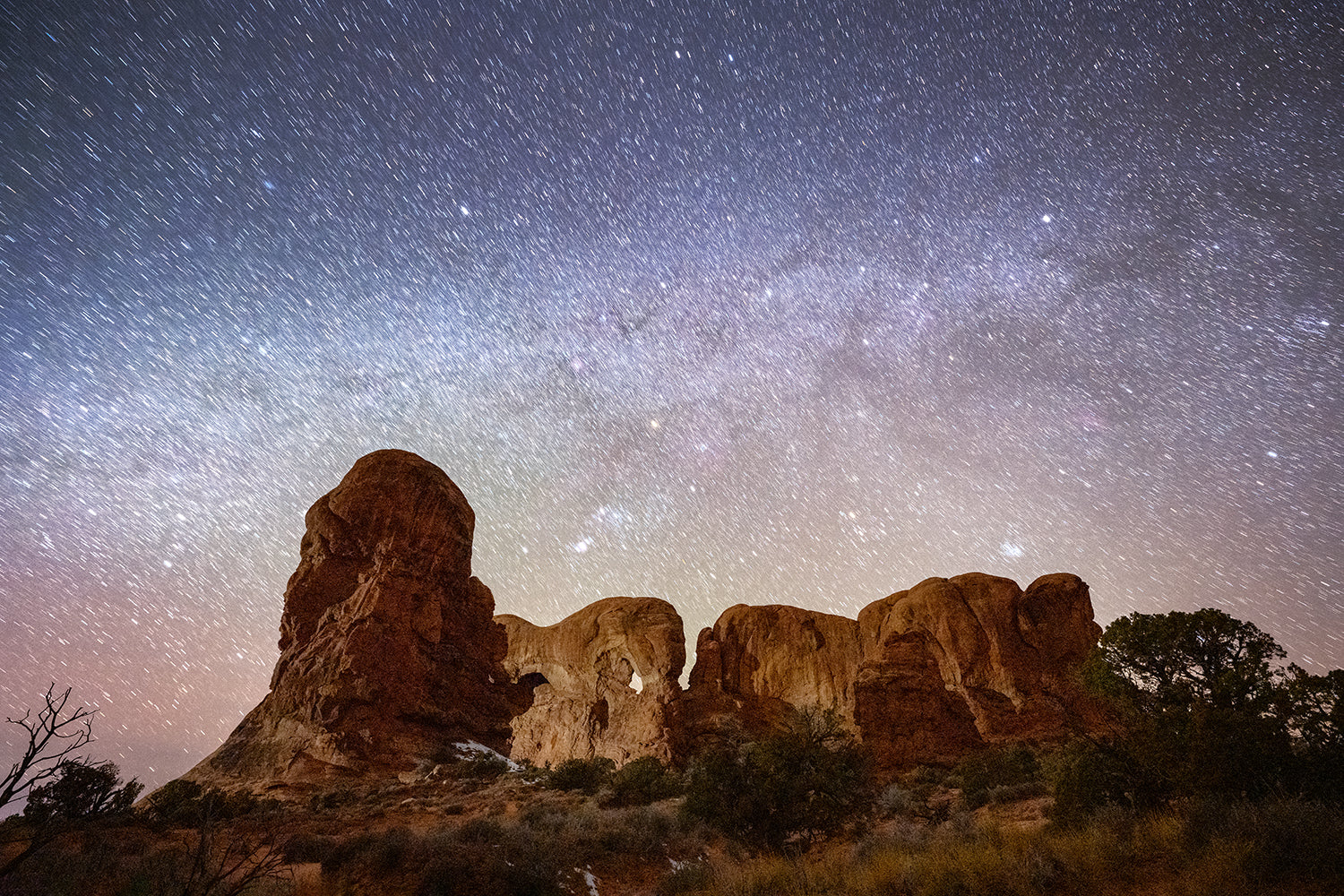 Motion Over the Parade of Elephants